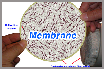 Membrane